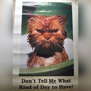 Funny cat poster from the 1980's
